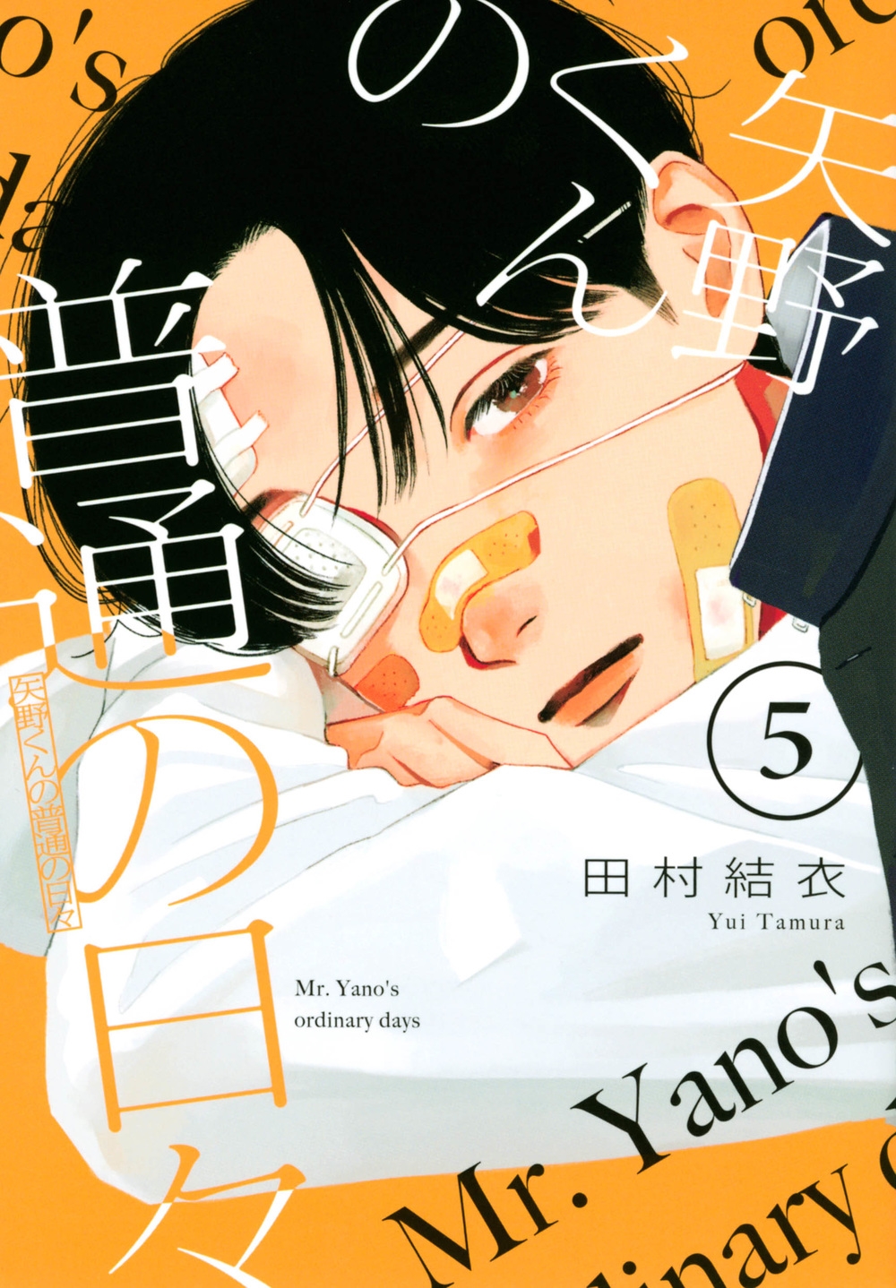 矢野くんの普通の日々 5 モーニングKC 矢野くんの普通の日々 5 モーニングKC