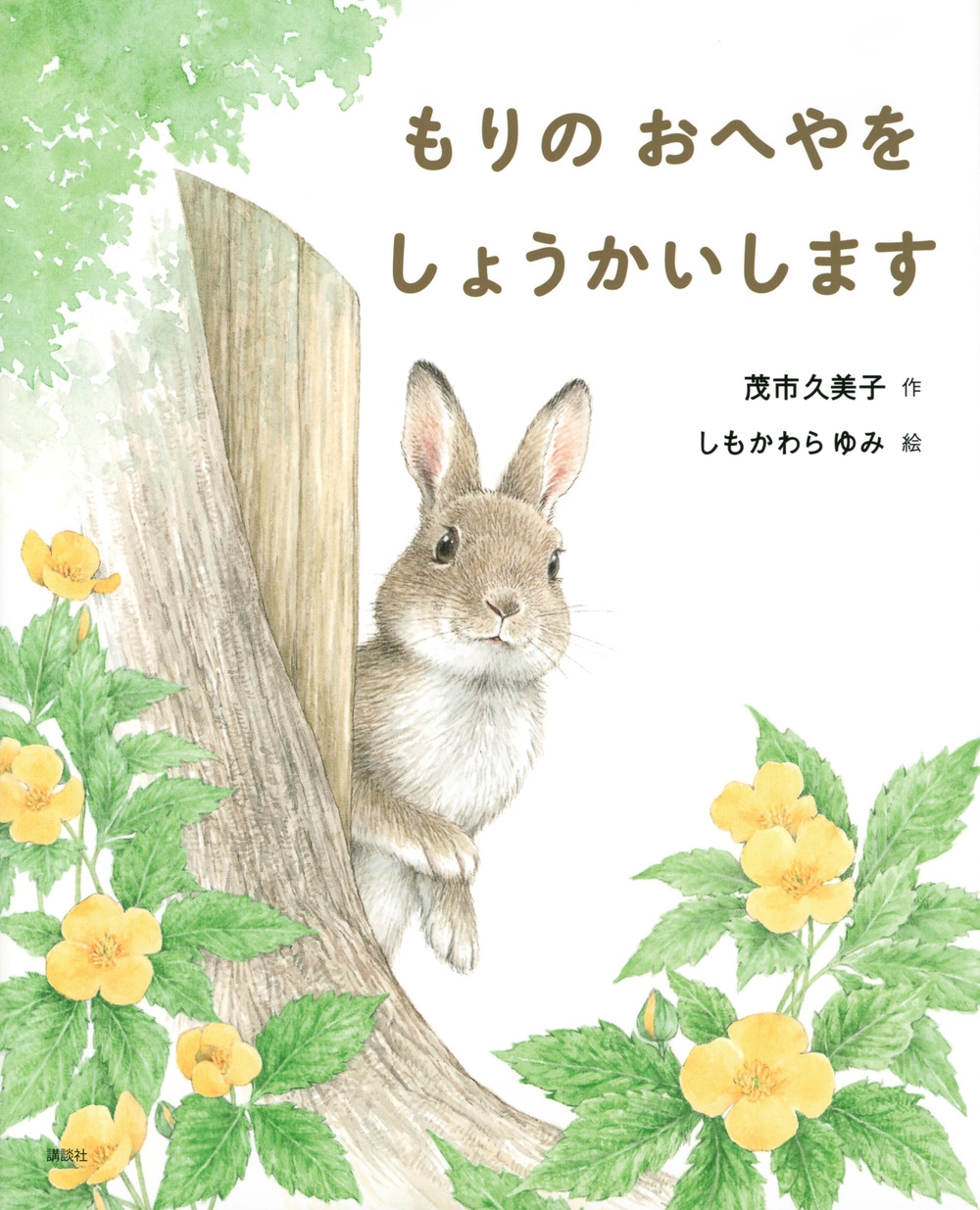 もりの おへやを しょうかいします 講談社の創作絵本 もりの おへやを しょうかいします 講談社の創作絵本