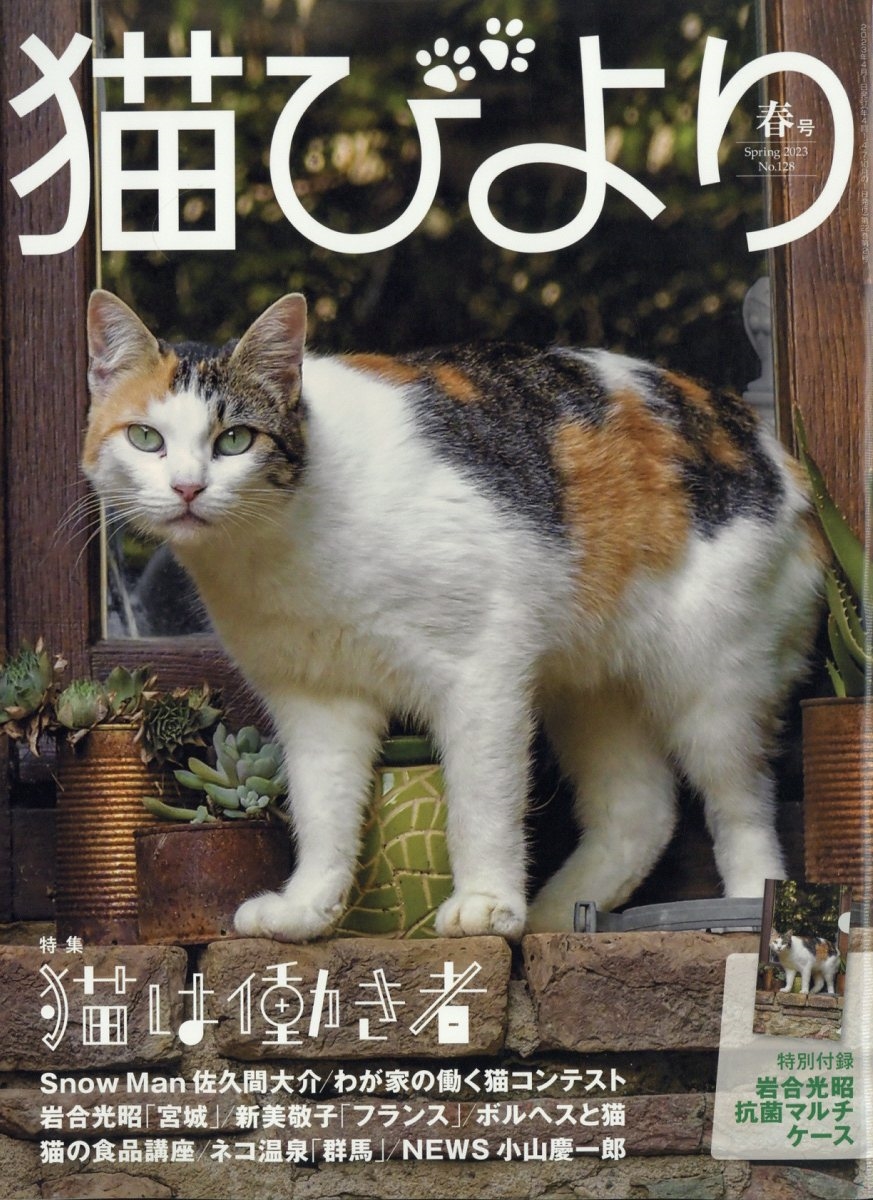 猫びより 2023年 04月号 [雑誌]