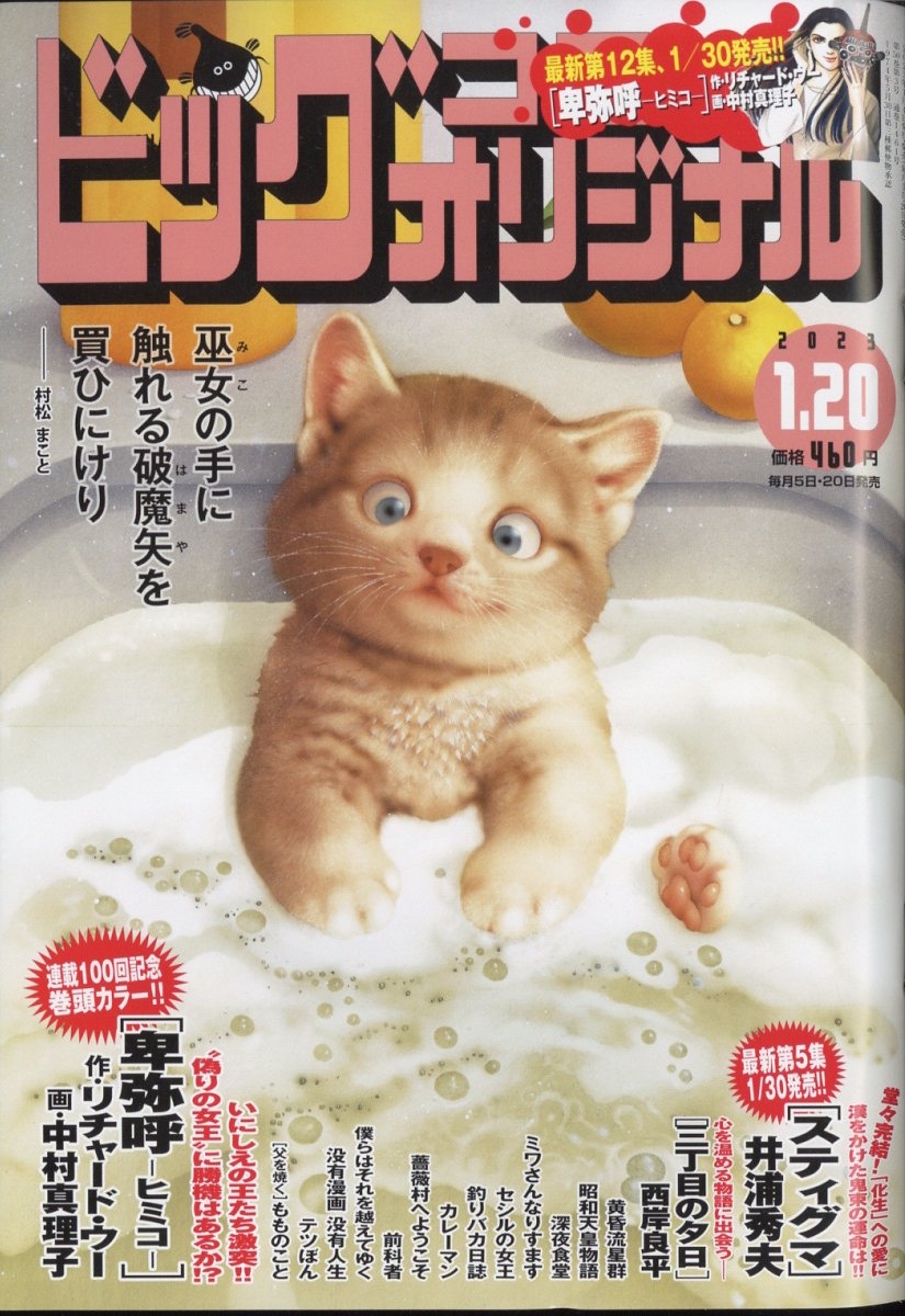 ビッグコミックオリジナル 2023年 1/20号 [雑誌]