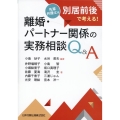 離婚・パートナー関係の実務相談Q&A 先輩弁護士は別居前後で