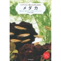 メダカ 飼育の仕方、環境、殖やし方、病気のことがすぐわかる!