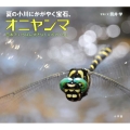 夏の小川にかがやく宝石、オニヤンマ 日本でいちばん大きなトンボのくらし 小学館の図鑑NEOの科学絵本