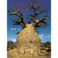 マダガスカルのバオバブ たくさんのふしぎ傑作集