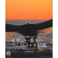 世界で一番美しいクジラ&イルカ図鑑 絶景・秘境に息づく ネイチャー・ミュージアム