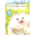 ハリネズミ飼いになる 飼い方から、一緒に暮らす楽しみ、グッズまで