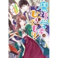 魔法学者はひきこもり! 完璧王子が私の追っかけでした ビーズログ文庫 く 7-1