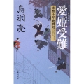 愛姫受難 流想十郎蝴蝶剣 角川文庫 と 7-5