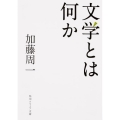 文学とは何か 角川ソフィア文庫 L 202-1