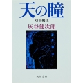 天の瞳 幼年編2
