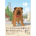 神様のおつかい犬純平