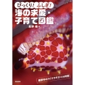 びっくり!ふしぎ!海の求愛・子育て図鑑