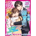 極甘悪魔な御曹司の溺愛は揺るがない ベリーズ文庫 た 5-24