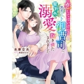 恋してはいけないエリート御曹司に、契約外の溺愛で抱き満たされ ベリーズ文庫 み 7-13