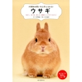 ウサギ 住まい、食べ物、接し方、健康のことがすぐわかる! 小動物★飼い方上手になれる!