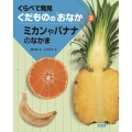 ミカンやバナナのなかま くらべて発見くだものの「おなか」 3