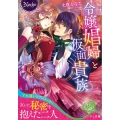 令嬢娼婦と仮面貴族 ノーチェ文庫