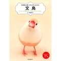 文鳥 育て方、食べ物、接し方、病気のことがすぐわかる! 小動物★飼い方上手になれる!