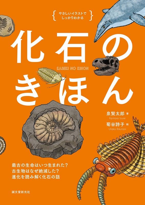 やさしいイラストでしっかりわかる化石のきほん 最古の生命はいつ生まれた? 古生物はなぜ絶滅した? 進化を読み解く化石の話 やさしいイラストでしっかりわかる化石のきほん 最古の生命はいつ生まれた? 古生物はなぜ絶滅した? 進化を読み解く化石の話