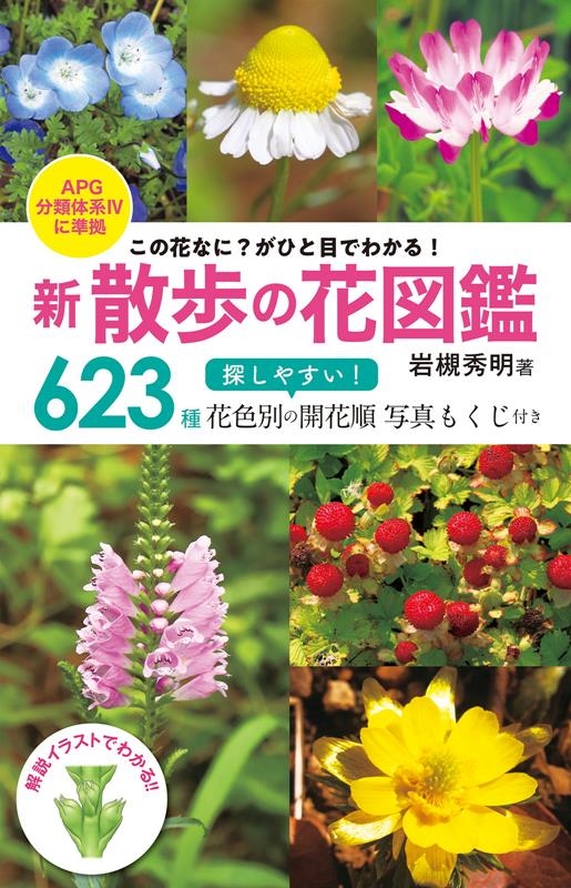 新散歩の花図鑑 この花なに?がひと目でわかる! APG分類体系IVに準拠 新散歩の花図鑑 この花なに?がひと目でわかる! APG分類体系IVに準拠