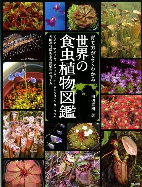 今ならほぼ即納！ 洋書_図鑑】オーストラリアの食虫植物 - 本｜洋書 洋書