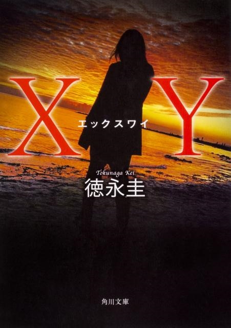 TOWER RECORDS ONLINE㤨ʷ/XY ʸ  22-2[9784041058541]פβǤʤ836ߤˤʤޤ