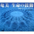 奄美生命の鼓動 海底のミステリーサークル