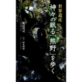 世界遺産神々の眠る「熊野」を歩く 集英社新書 ビジュアル版 13V