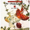 ファーブル昆虫記の虫たち (3)