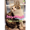 子ねこのほほえむ時 ～私がこの子の家族になります～