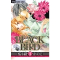 BLACK BIRD (16)