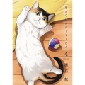 猫暮らしのゲーマーさん 4 少年サンデーコミックススペシャル
