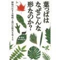 葉っぱはなぜこんな形なのか? 植物の生きる戦略と森の生態系を考える
