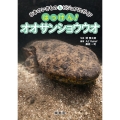 はっけん!オオサンショウウオ 日本のいきものビジュアルガイド
