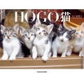 HOGO猫 (1)