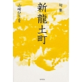 句集 新龍土町 角川俳句叢書 日本の俳人100