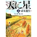 天に星地に花 上 集英社文庫 は 32-8