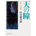 天の瞳 あすなろ編II