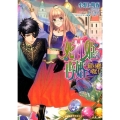 死神姫の再婚-彷徨える秘密の貴公子 ビーズログ文庫 お 3-28