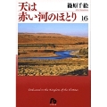 天は赤い河のほとり〔小学館文庫〕 (16)