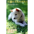 天国の犬ものがたり～わすれないで 小学館ジュニア文庫