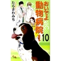 おいでよ動物病院! 10 オフィスユーコミックス