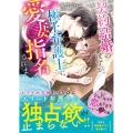 契約結婚のはずが、極上弁護士に愛妻指名されました ベリーズ文庫 さ 9-4