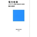 電力改革 エネルギー政策の歴史的大転換 講談社現代新書 2145