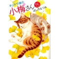キジトラ猫の小梅さん 15 ねこぱんちコミックス