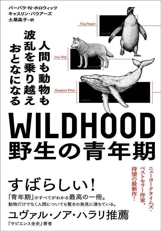 バーバラ N.ホロウィッツ/WILDHOOD野生の青年期 人間も動物も波乱を