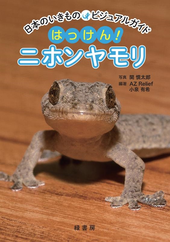 ؿϺ/Ϥä!˥ۥ ܤΤΥӥ奢륬[9784895315708]