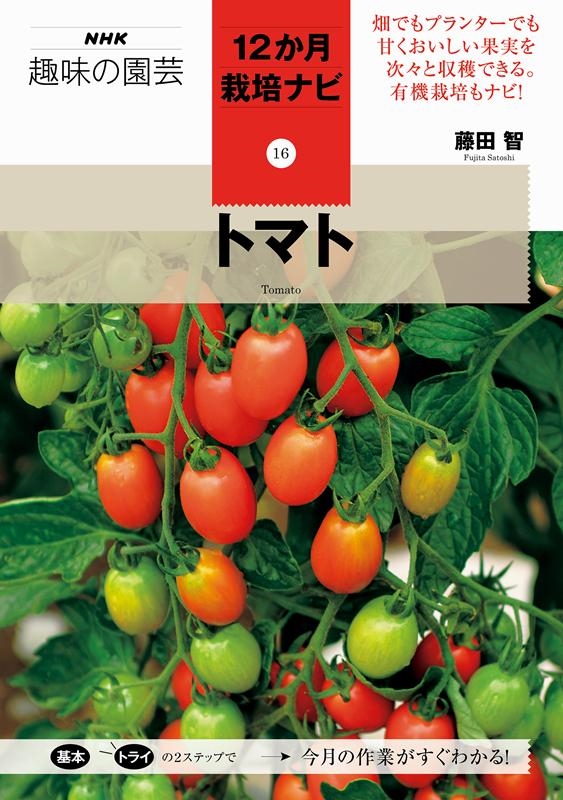 趣味:18｜価格比較＆横断検索【通販激安サーチ】◇価格順