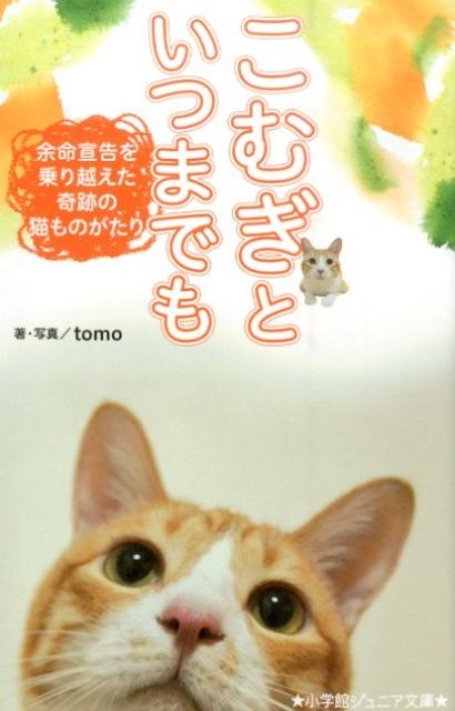 tomo/こむぎといつまでも 余命宣告を乗り越えた奇跡の猫ものがたり 小学館ジュニア文庫 と 1-1