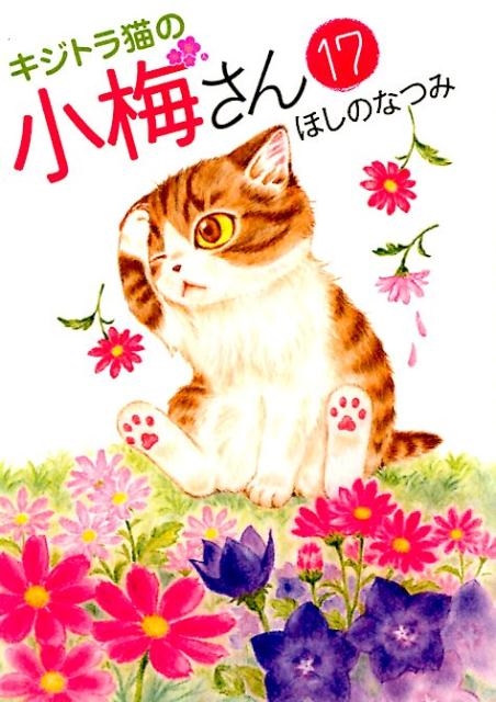 dショッピング |キジトラ猫の小梅さん 17 ねこぱんちコミックス COMIC